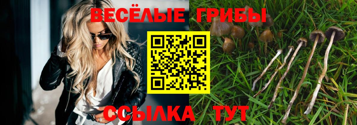 Псилоцибиновые грибы Psilocybine cubensis  Вход с VPN  Тельмана 